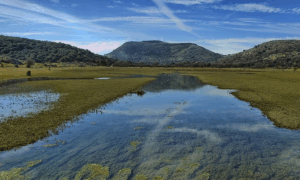 Paisaje de Córdoba