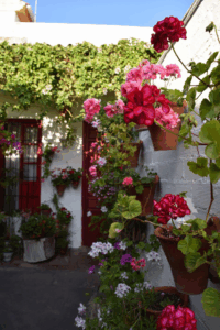 Patio de Córdoba