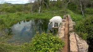 Fuente del Elefante, Córdoba